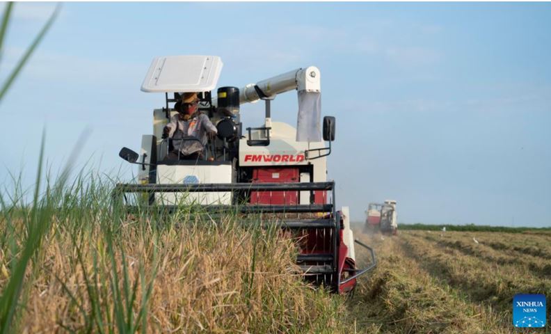 Mozambican president calls for stronger agricultural cooperation with China