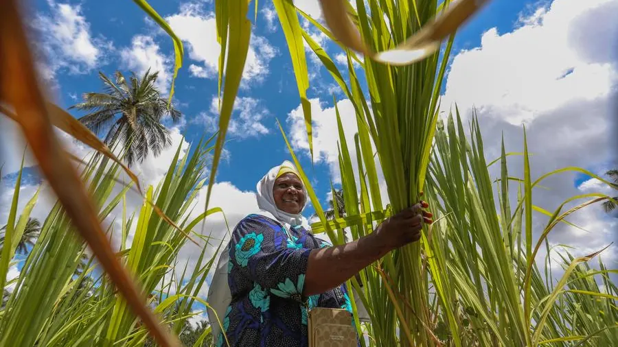 Africa can end hunger, but only if we act on what we already know
