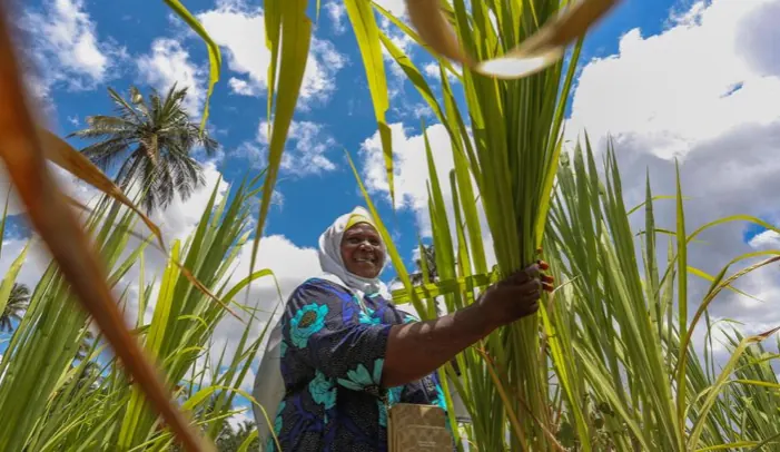 Africa can end hunger, but only if we act on what we already know