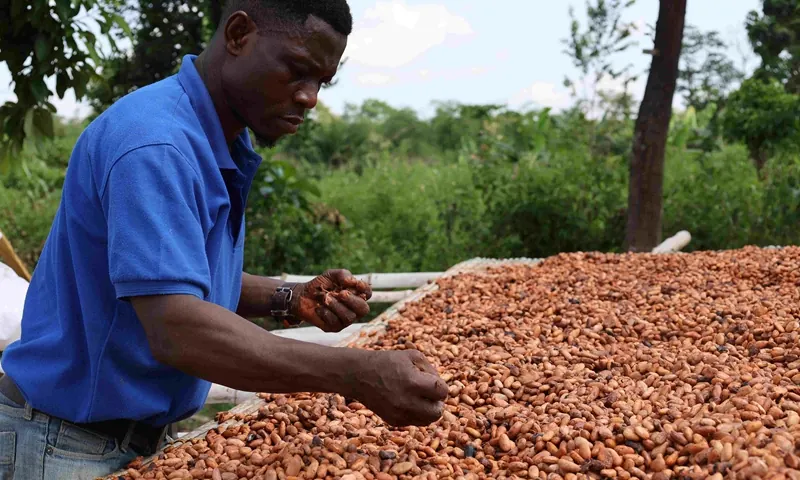 Beyond aid: China's zero-tariff strategy and Africa's development path