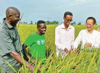 China-Africa friendship in a bag of rice