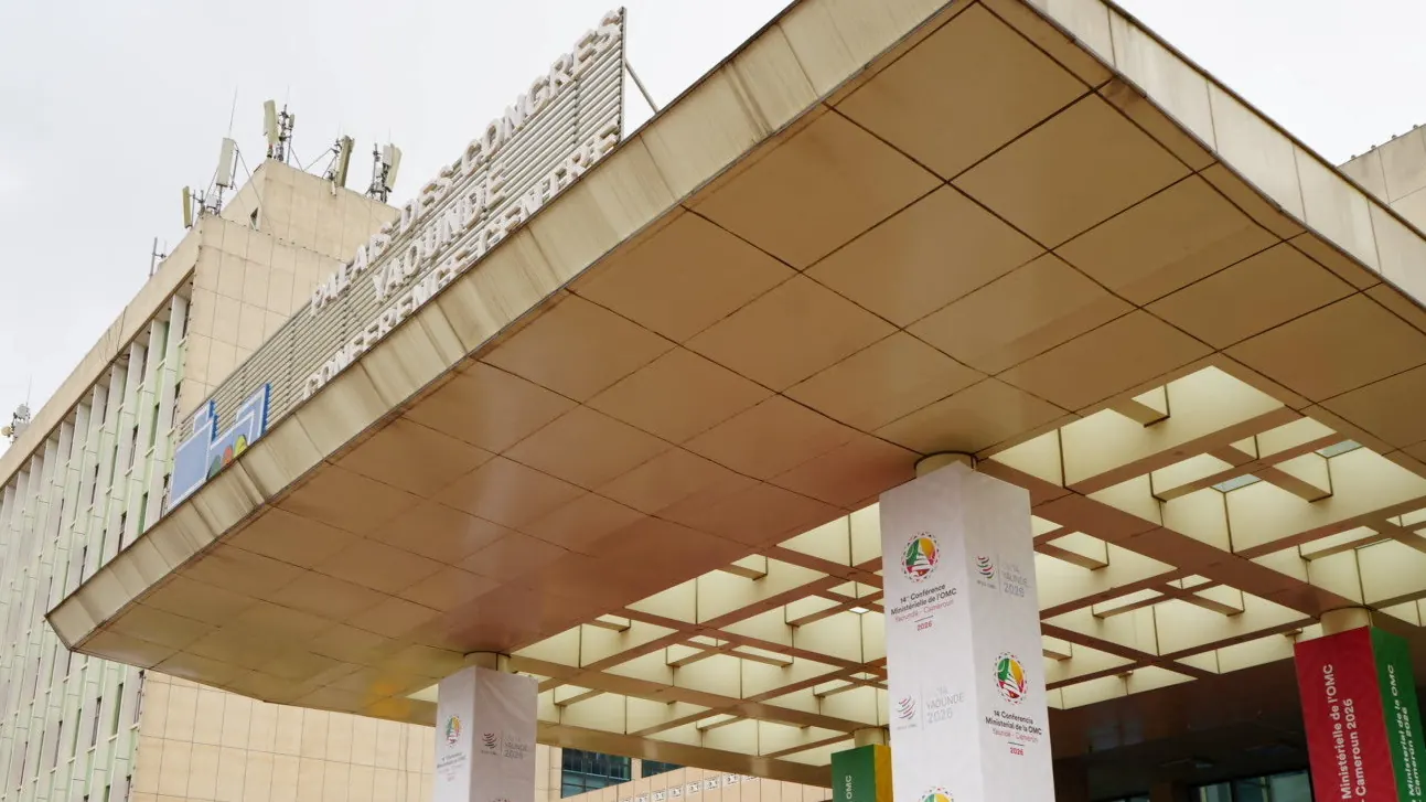 China and Africa discuss industrial investment at WTO meeting in Cameroon