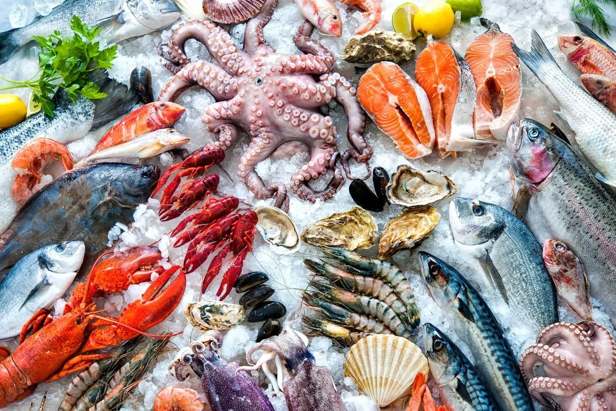 China opens duty-free market to Somali seafood exports