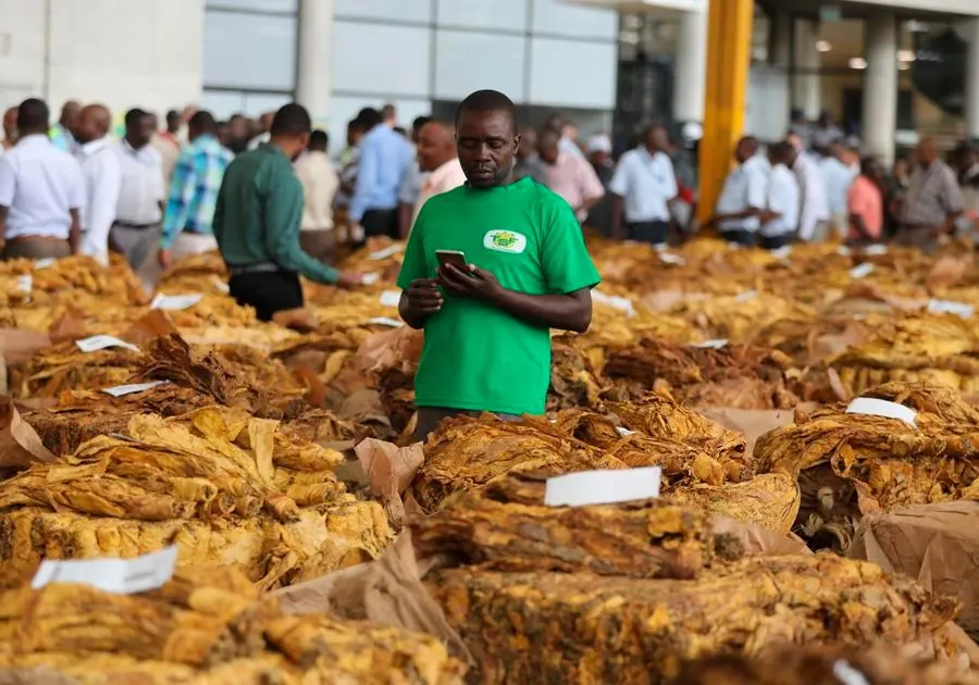 China's duty-free access to Africa set to boost exports, says Zimbabwean expert