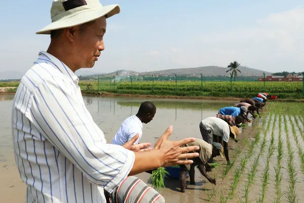 China’s Support boosts Food Security Effortsin Africa