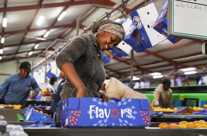 China's zero-tariff policy to boost African export confidence, global trade stability, says industry leader