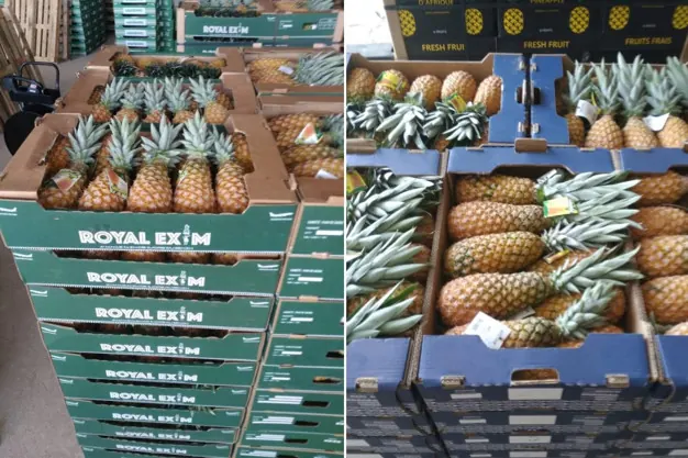 China’s zero tariffs on agricultural imports: A golden opportunity for African farmers