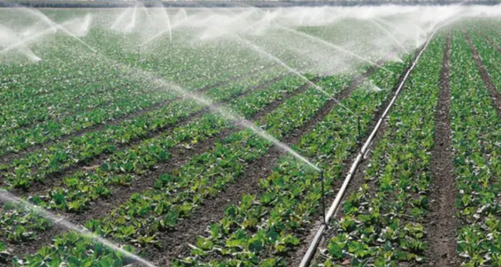 Chinese-built irrigation scheme empowers Tanzanian farmers, reflects World Water Day's call for sustainability