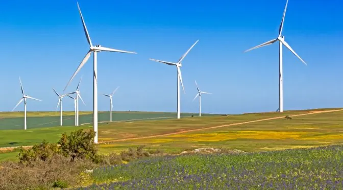 Chinese-built wind power project empowers locals, improves lives in South Africa