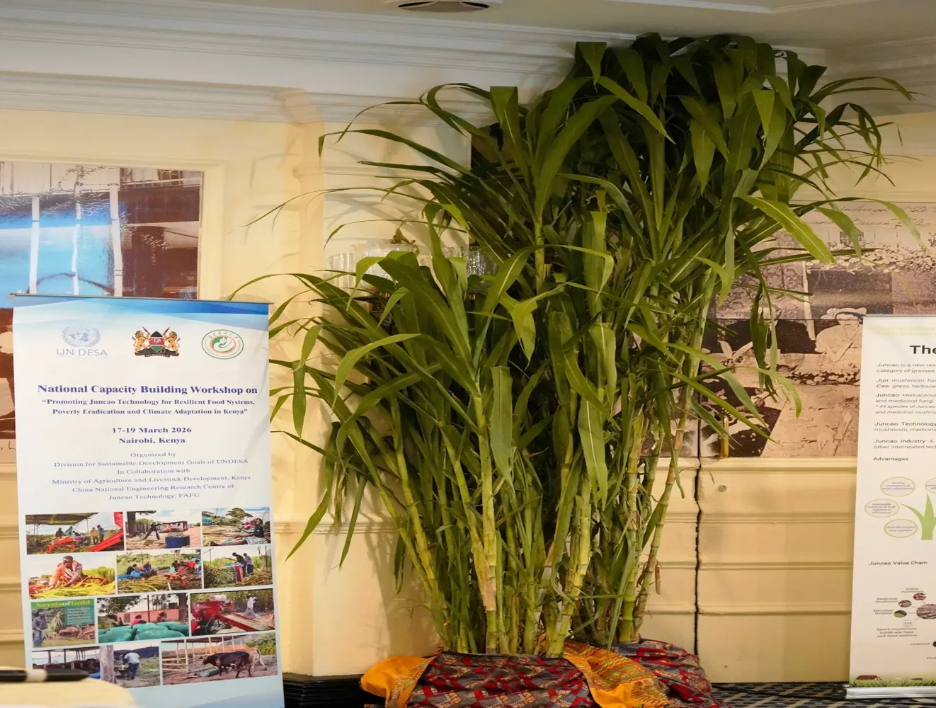 Forum in Nairobi highlights Chinese Juncaotechnology in agricultural sector