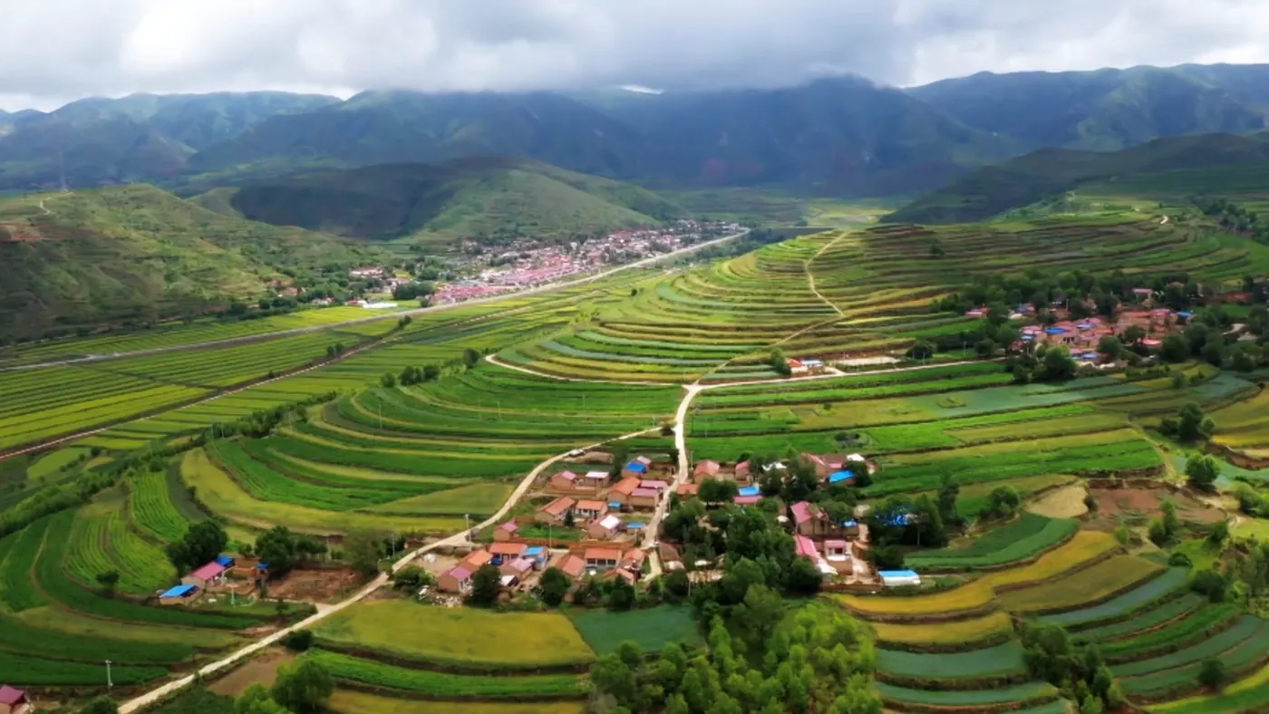 Seeing China's poverty alleviation through African eyes