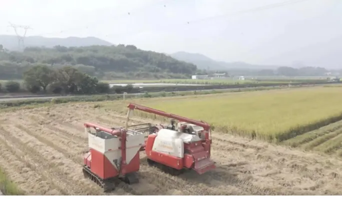 What Africa Can Learn from China’s “Holding the Rice Bowl Firmly” Approach to Food Security
