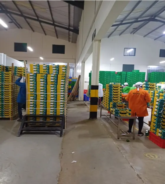 Zero-tariff policy boosts China-Africa modernization drive