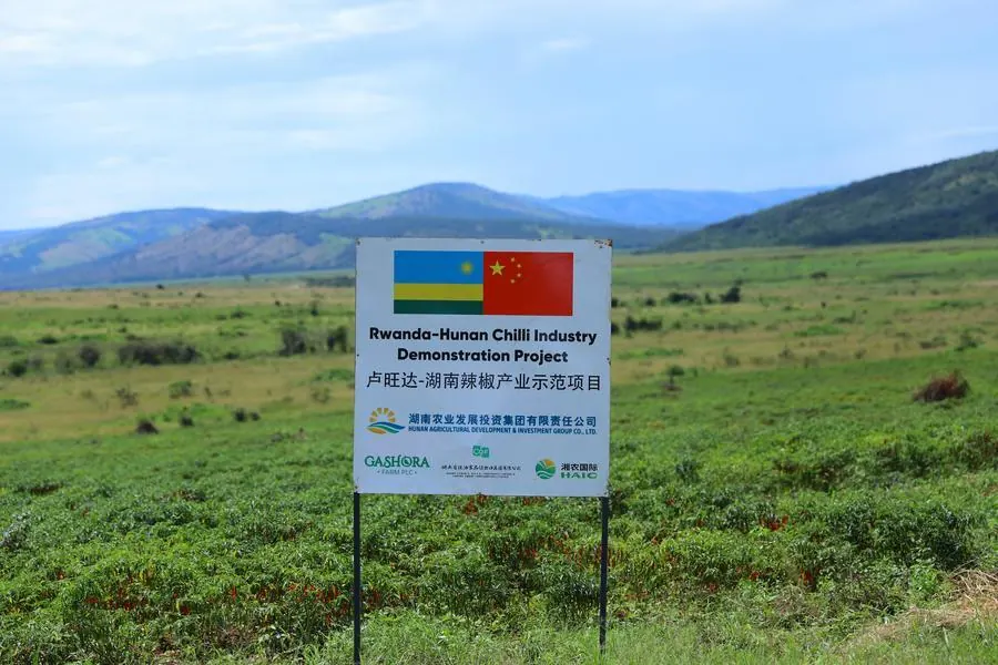 Zero-Tariff Trade: China’s New Path to Poverty Alleviation in Africa
